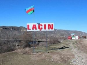 image-lacin-yeni