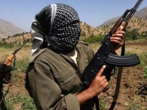 image-pkk1