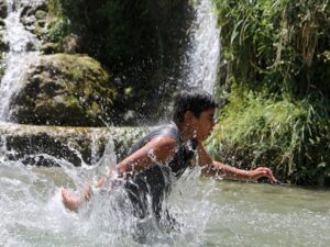 image-7