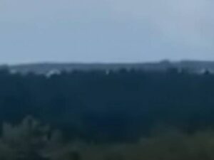 image-image_750x_64d3783415f88