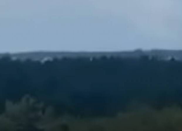 image-image_750x_64d3783415f88