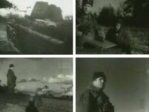 image-zaa