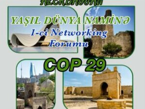 image-68239fe9-9978-41cb-a240-8efaa7fe766a