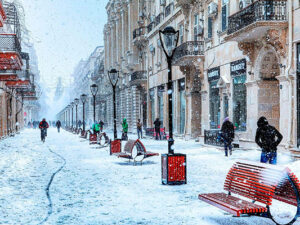 image-48jpg-1707905744