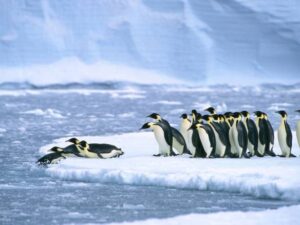 image-image_750x_67ee7cf1623b2