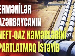 image-0cc47631-52c1-460f-a977-90a2a66ef649