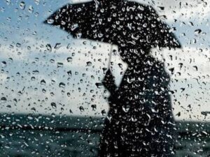 image-img_4336