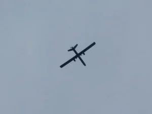 image-1