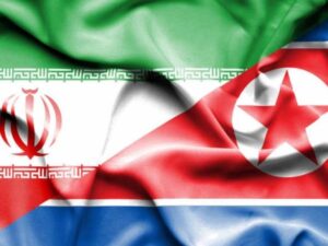 image-image_750x_695239db01c03