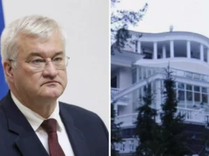 image-image_750x_6953b036207d0-750-1080-resize