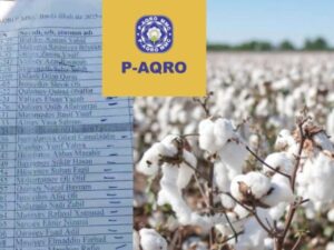 image-media-pambiq1-ghx1rbka59plj2f730me-620x460