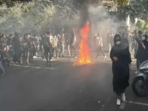 image-image_750x_69609313d5bab-750-1080-resize