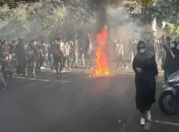 image-image_750x_69609313d5bab-750-1080-resize