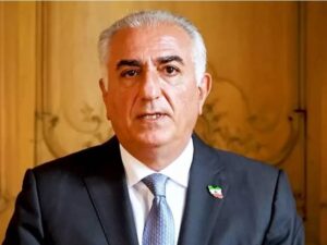 image-image_750x_6963d4886c278