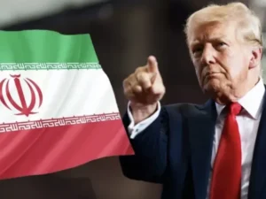 image-image_750x_69667585a4a38-750-1080-resize