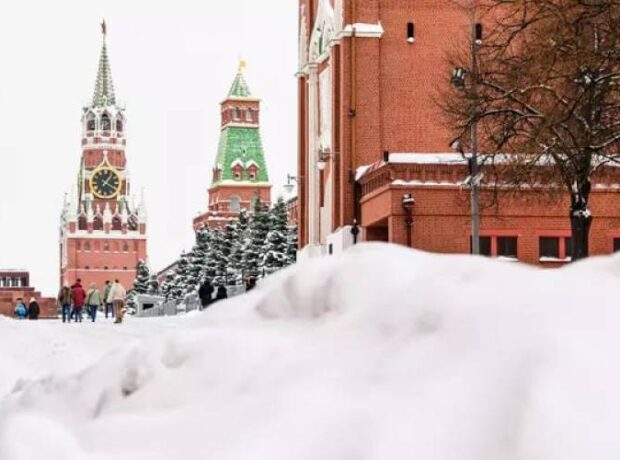 image-image_750x_697856d34a05e