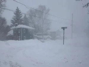 image-image_750x_697992075ec26-750-1080-resize