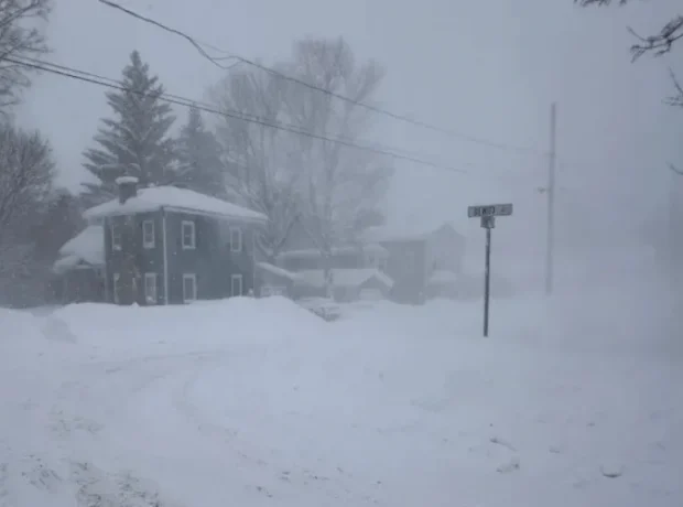 image-image_750x_697992075ec26-750-1080-resize