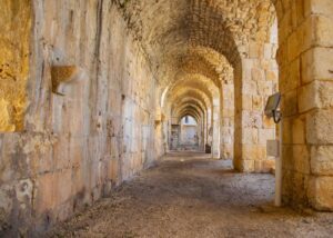 image-img-20260128-wa0015