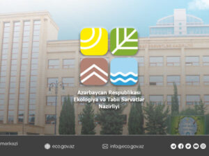 image-20240116174134_40934100