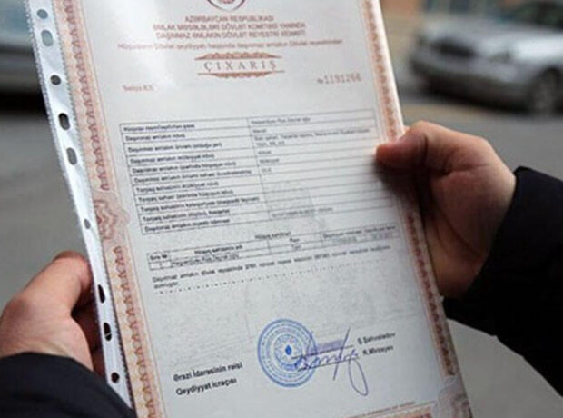 image-547f5d0a12a69e3b3b90c9a526d62d9a