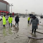 image-d4ceaa9a-c017-4787-816d-5fef6de9c389