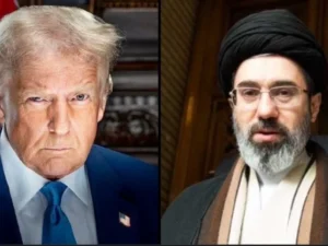 image-image_750x_69b63f8618318-750-1080-resize