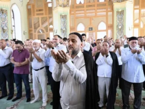 image-image_750x_69b7bfad8179c-750-1080-resize