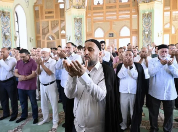 image-image_750x_69b7bfad8179c-750-1080-resize