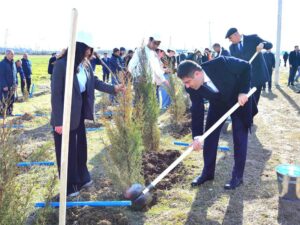 image-img-20260306-wa0062