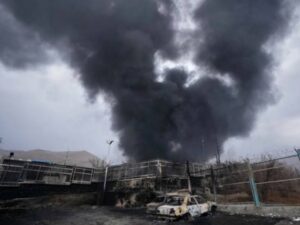 image-img_20260312_084537