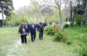 image-1237_1777025222