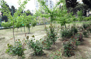 image-1688_1777025253