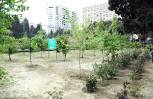 image-1915_1777025254