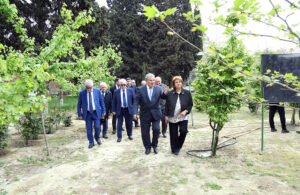 image-5829_1777025224