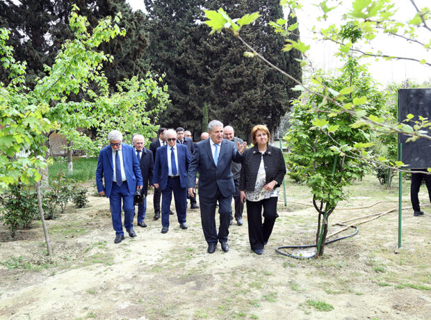 image-5829_1777025224