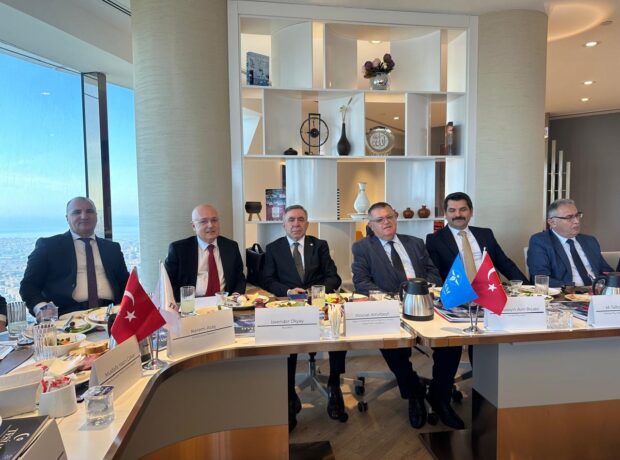 image-6a07d621-0b8b-4696-bd59-7dbf0c4c8f54