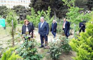 image-7231_1777025223