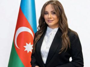 image-fa1b91b1f80aa9dd1e03d86373a847ea_sdid