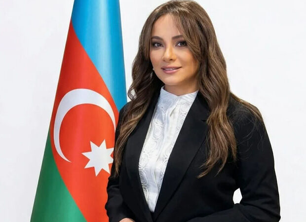 image-fa1b91b1f80aa9dd1e03d86373a847ea_sdid