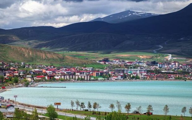 image-img-20260408-wa0007