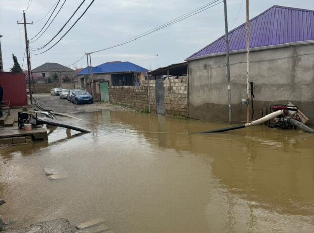 image-img-20260416-wa0085