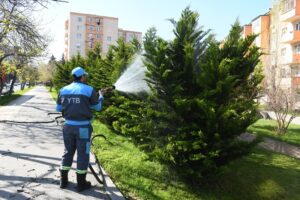 image-img-20260418-wa0015