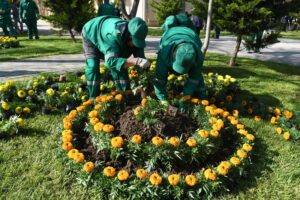 image-img-20260418-wa0016