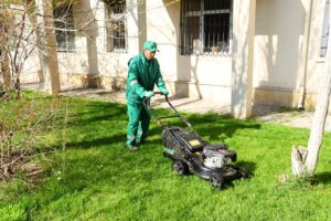 image-img-20260418-wa0018