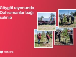 image-img-20260424-wa0054