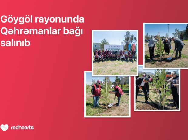 image-img-20260424-wa0054