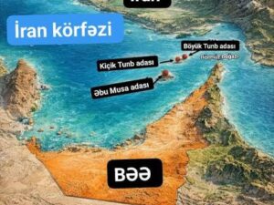 image-images-1