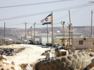 image-1