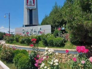 image-images-11
